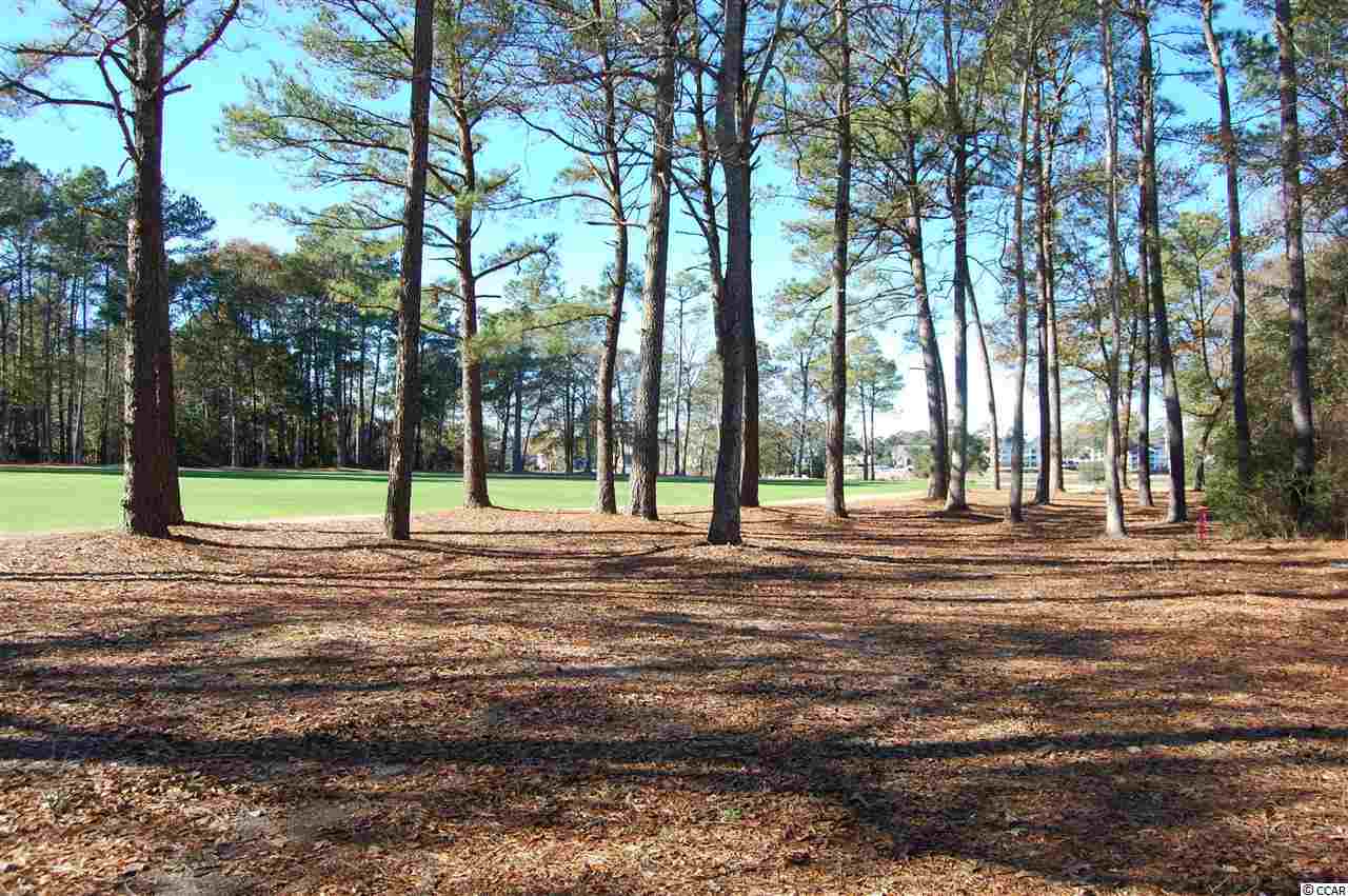 1408 Clipper Road North Myrtle Beach, SC 29582 - Photo 21 of 25 Gallery Image 21