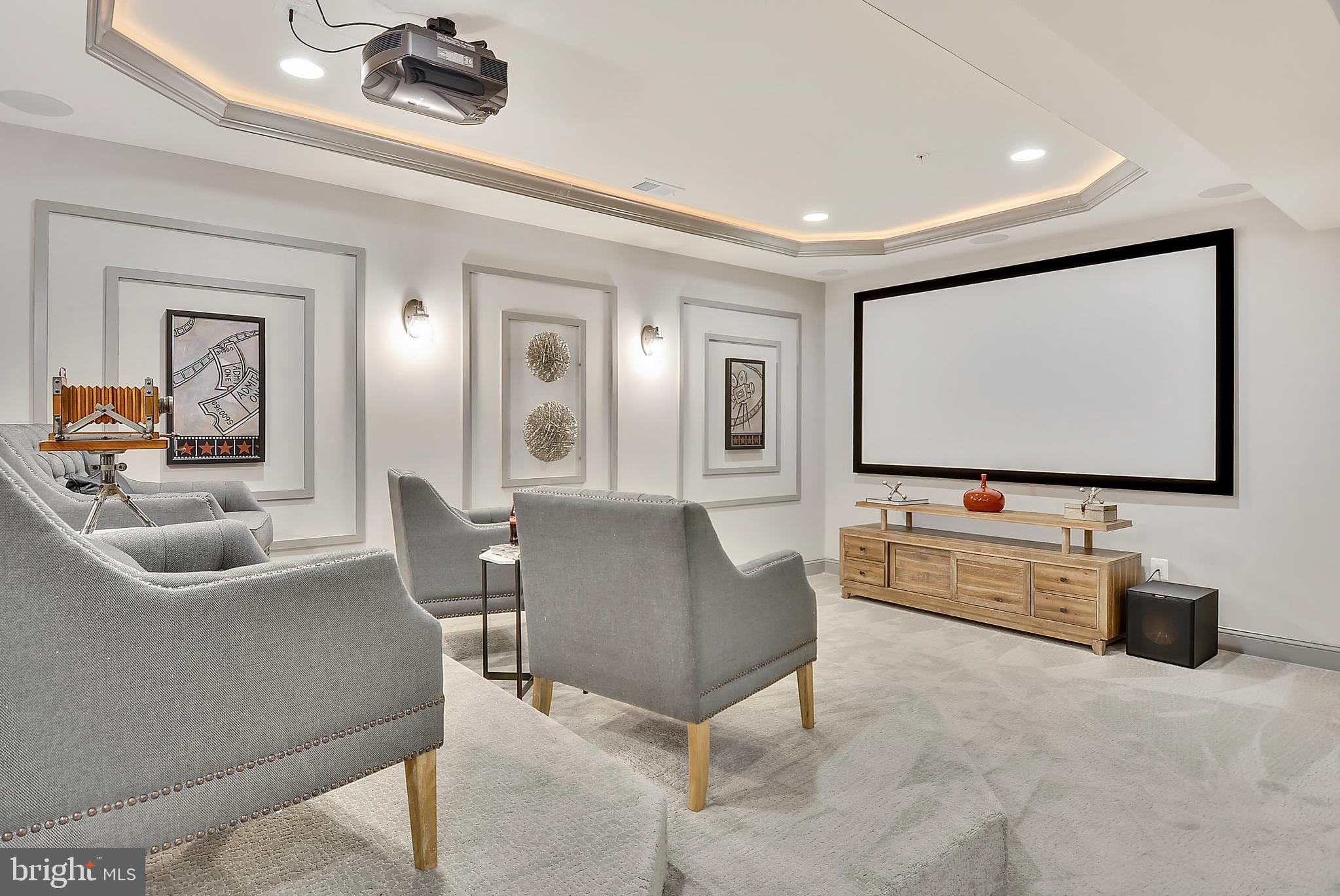 11025 Locust Drive Damascus, MD 20872 - Photo 8 of 10 Lower Level-Theatre-DSC7315