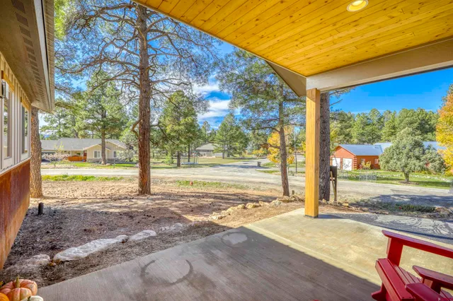 a view of a swimming pool with a yard