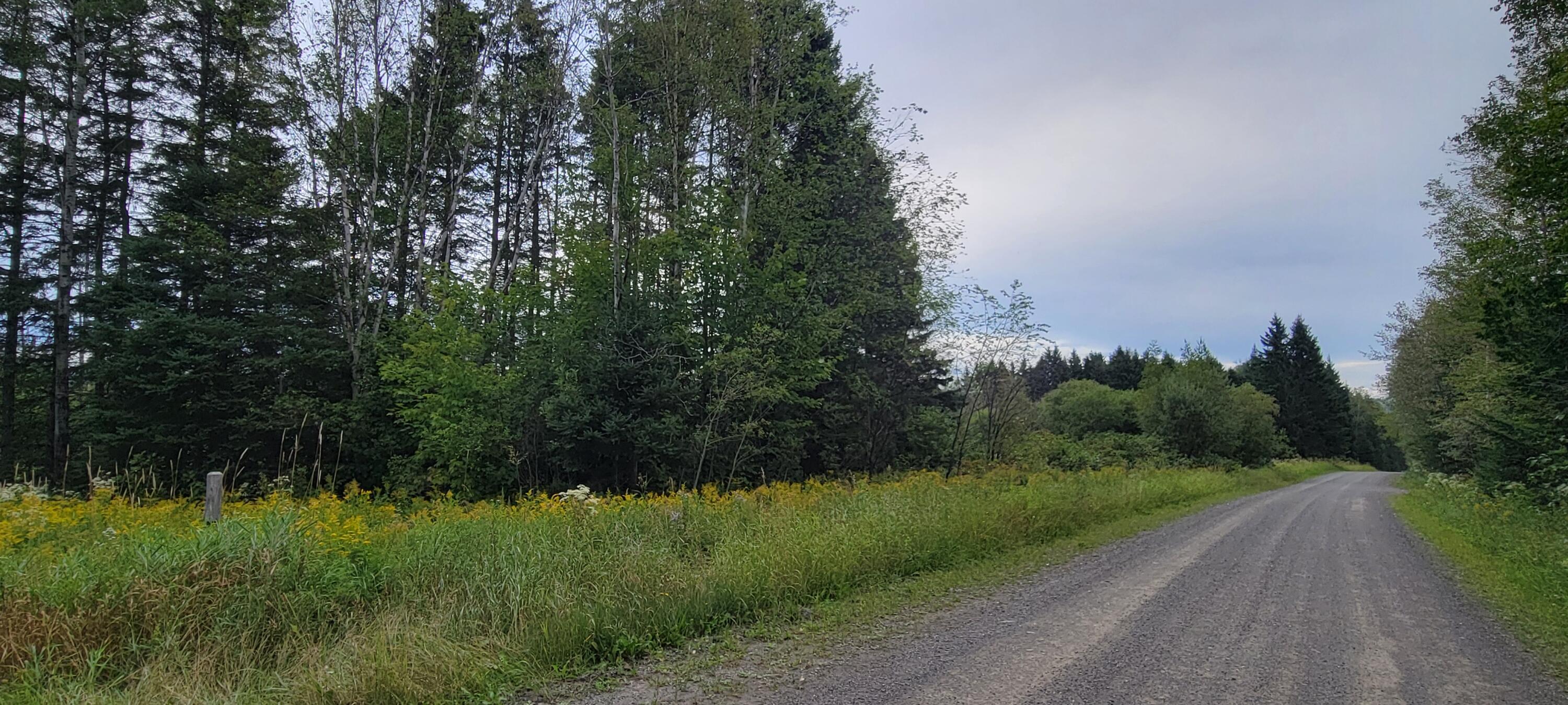 115 Cyr Road Grand Isle, ME 04746 - Photo 5 of 14 20250829_173402