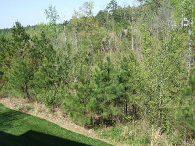 4806 Black Mountain Path Raleigh, NC 27612 - Photo 7 of 12 a view of a forest with a yard
