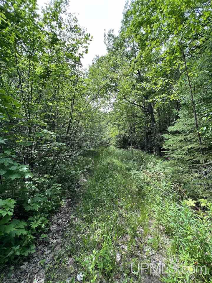 Tbd Tbd Off Puuri Road Atlantic Mine, MI 49905 - Photo 21 of 34
