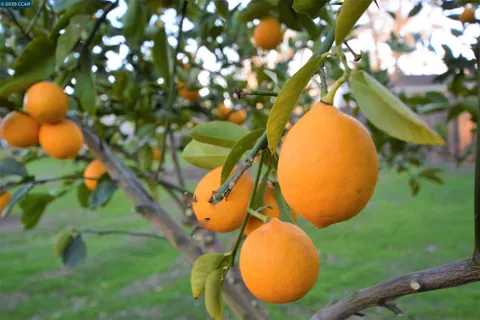 $1,798,000 | 130 Hillcroft Way, Walnut Creek, CA 94597