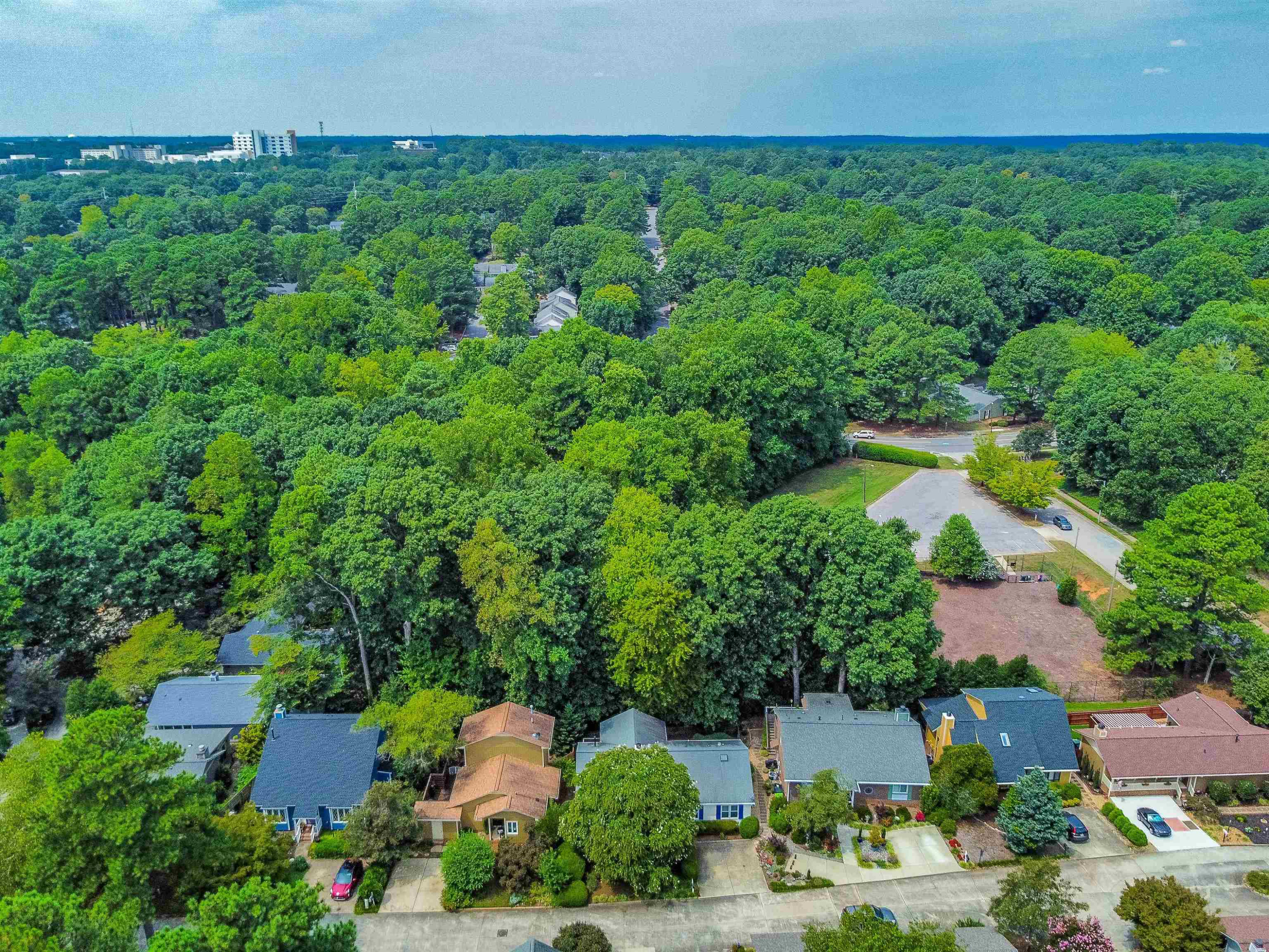 3013 Rue Sans Famille Raleigh, NC 27607 - Photo 2 of 16 an aerial view of a house with yard and outdoor seating