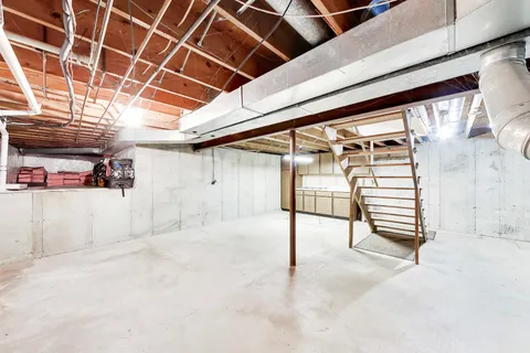 a view of a garden with plants and large trees