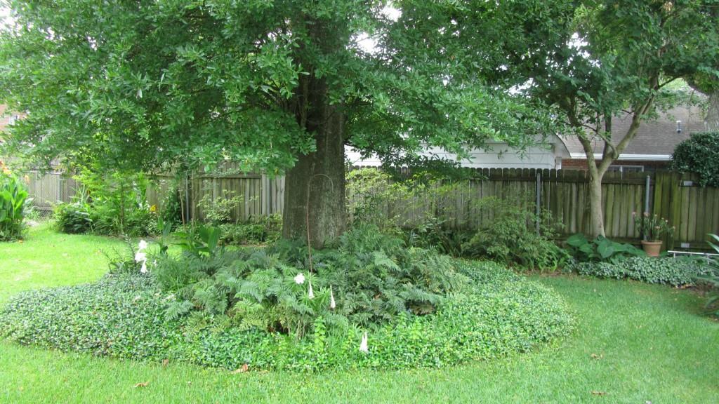 8712 Tanglewild Place River Ridge, LA 70123 - Photo 22 of 25