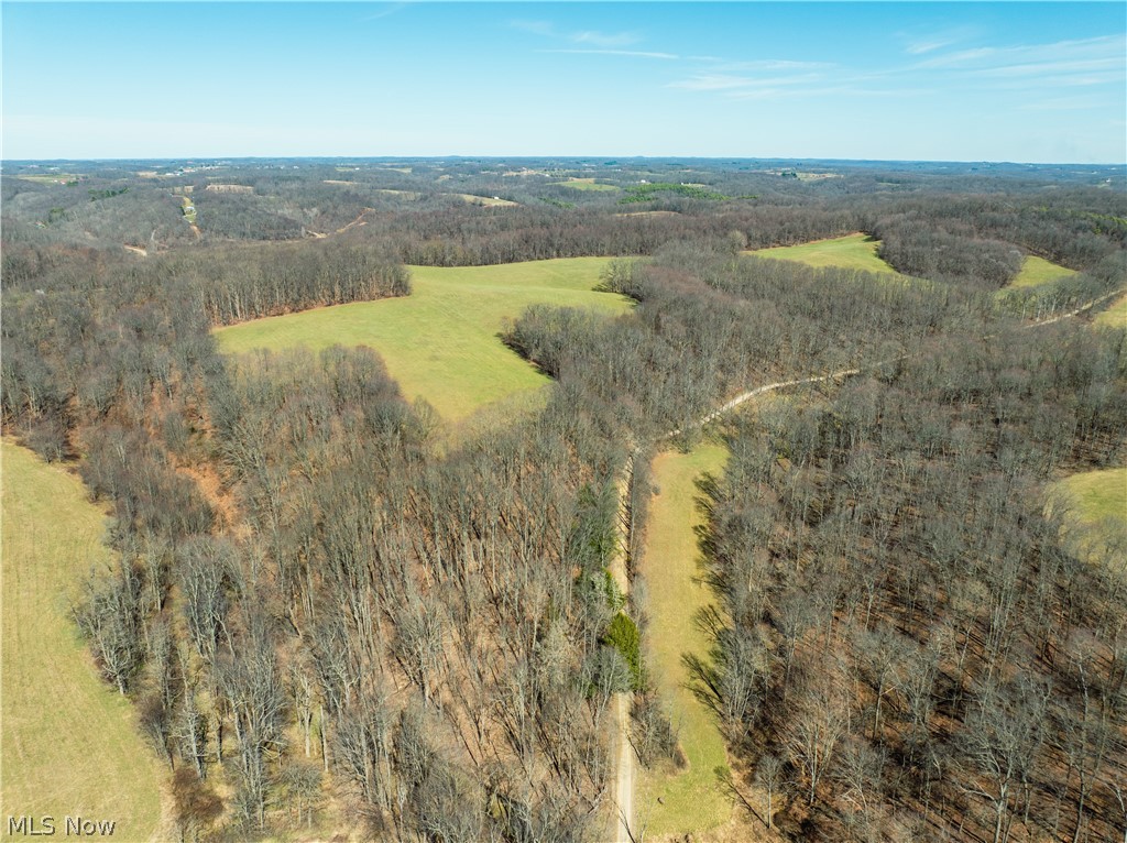 Burrier Road Jewett, OH 43986 - Photo 6 of 7