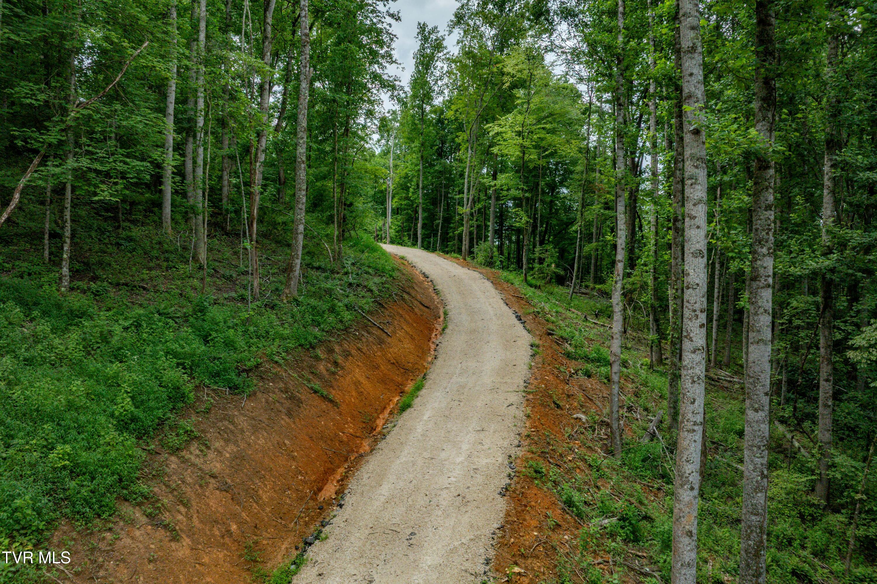 2867 Dry Hill Road Butler, TN 37640 - Photo 21 of 50 2678 Dry Hill Rd (40 of 70)