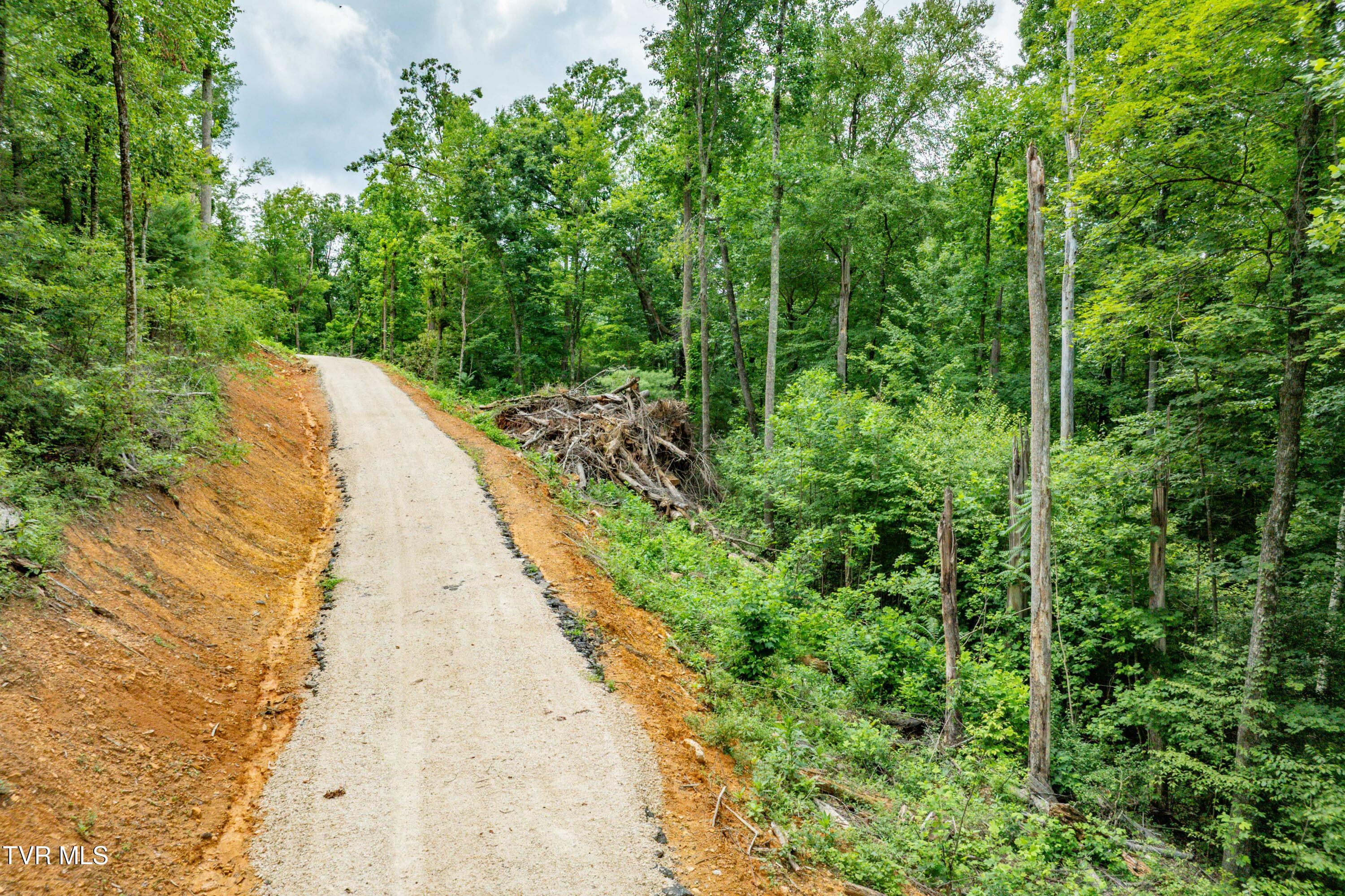 2867 Dry Hill Road Butler, TN 37640 - Photo 22 of 50 2678 Dry Hill Rd (41 of 70)