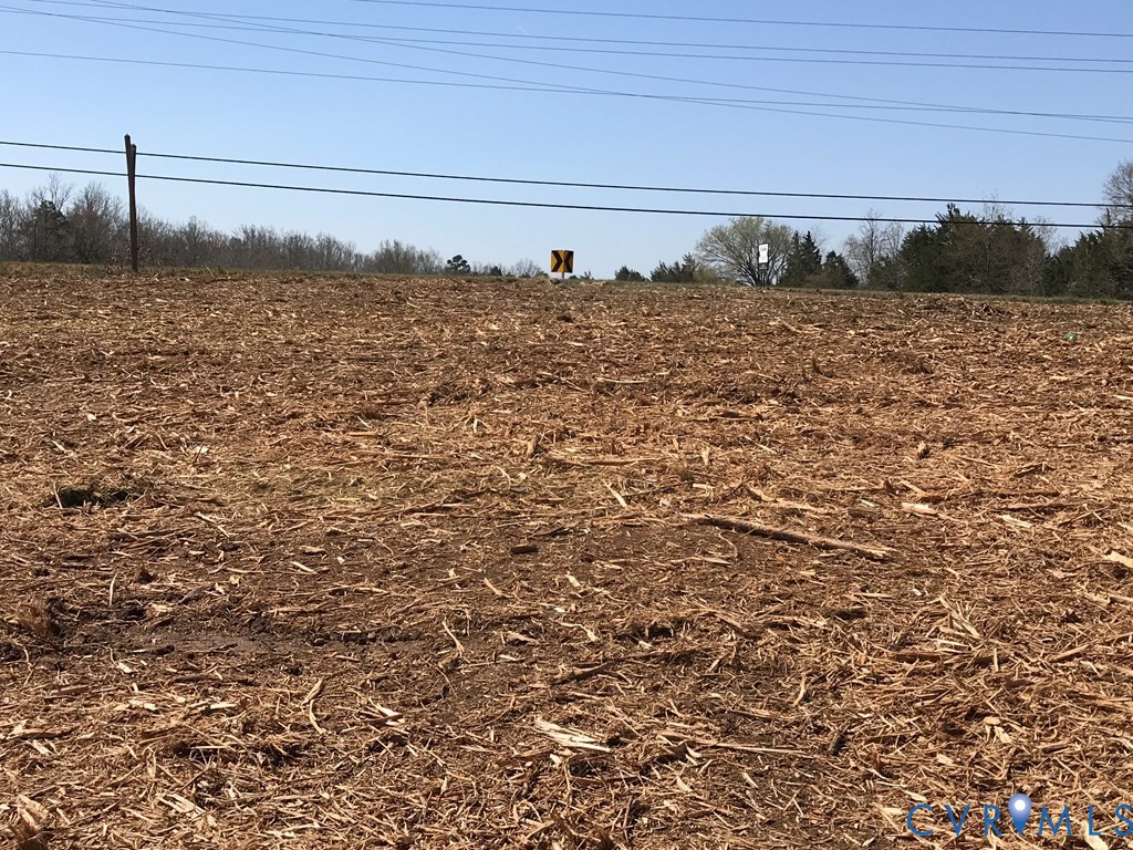 0 Milnwood Road Farmville, VA 23901 - Photo 2 of 7 a view of a dry yard
