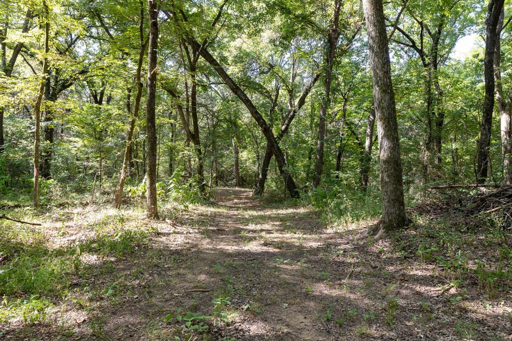 Tbd Richards Road Sadler, TX 76264 - Photo 9 of 12 Gallery Image 9