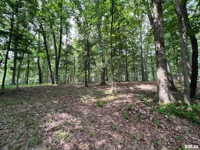 $34,900 | 224 Beyers Lk Estate, Pana, IL 62557