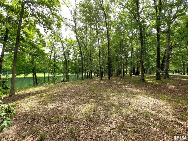 $34,900 | 224 Beyers Lk Estate, Pana, IL 62557