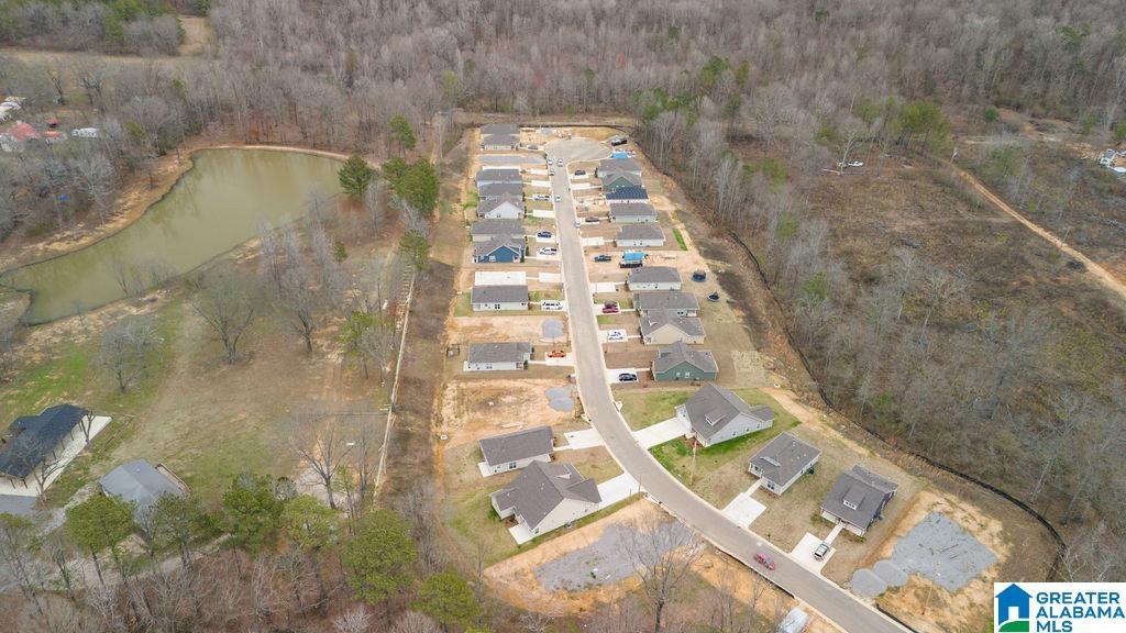 3875 Barton Lane Bessemer, AL 35022 - Photo 19 of 20