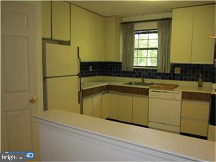 1104 Bartlett Road, Unit 171 Wayne, PA 19087 - Photo 5 of 12