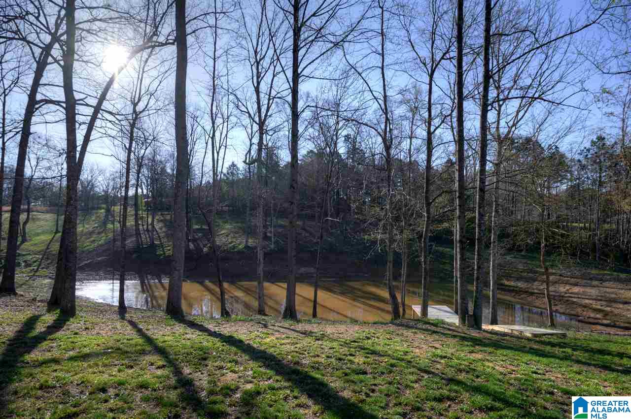 880 Copeland Ferry Road Cordova, AL 35550 - Photo 29 of 31