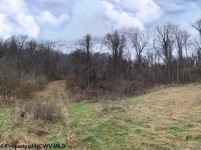 1728 Jack Run Road Clarksburg, WV 26301 - Photo 6 of 29 Gallery Image 6