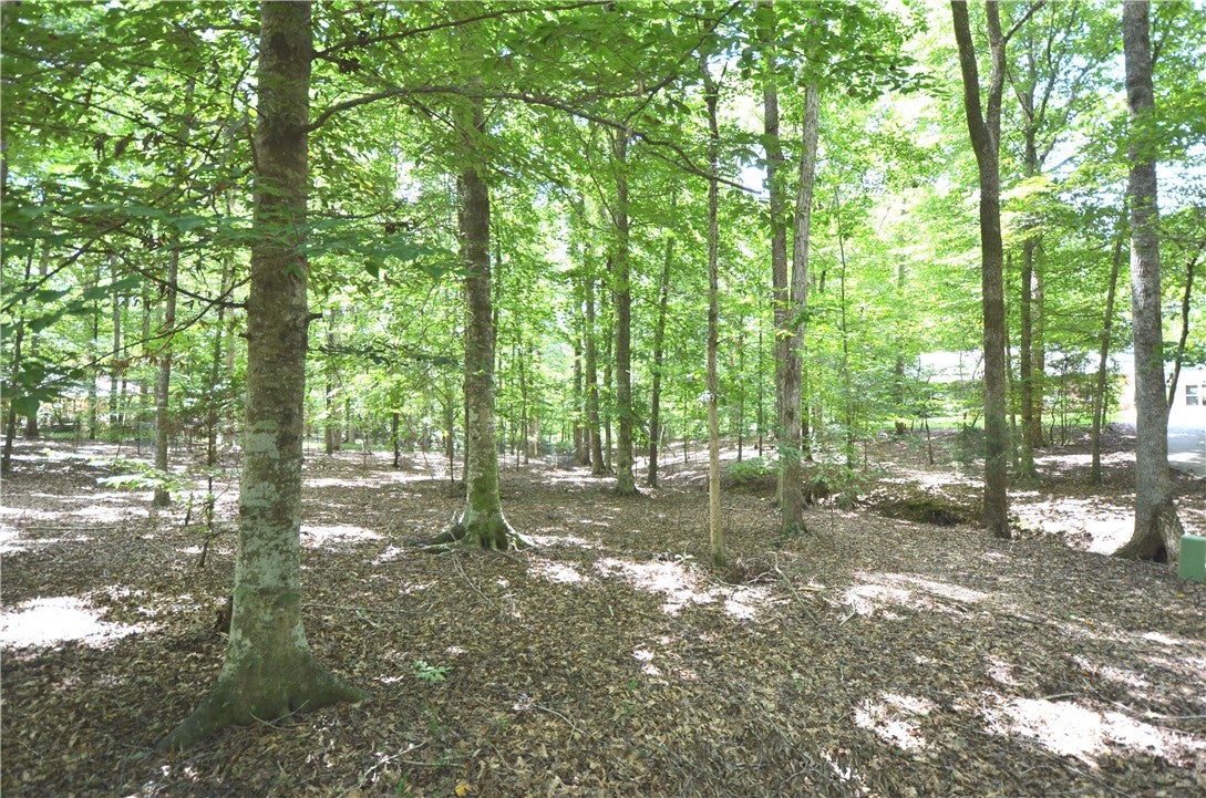 2040 Windway Road Auburn, AL 36830 - Photo 8 of 43 Gallery Image 8