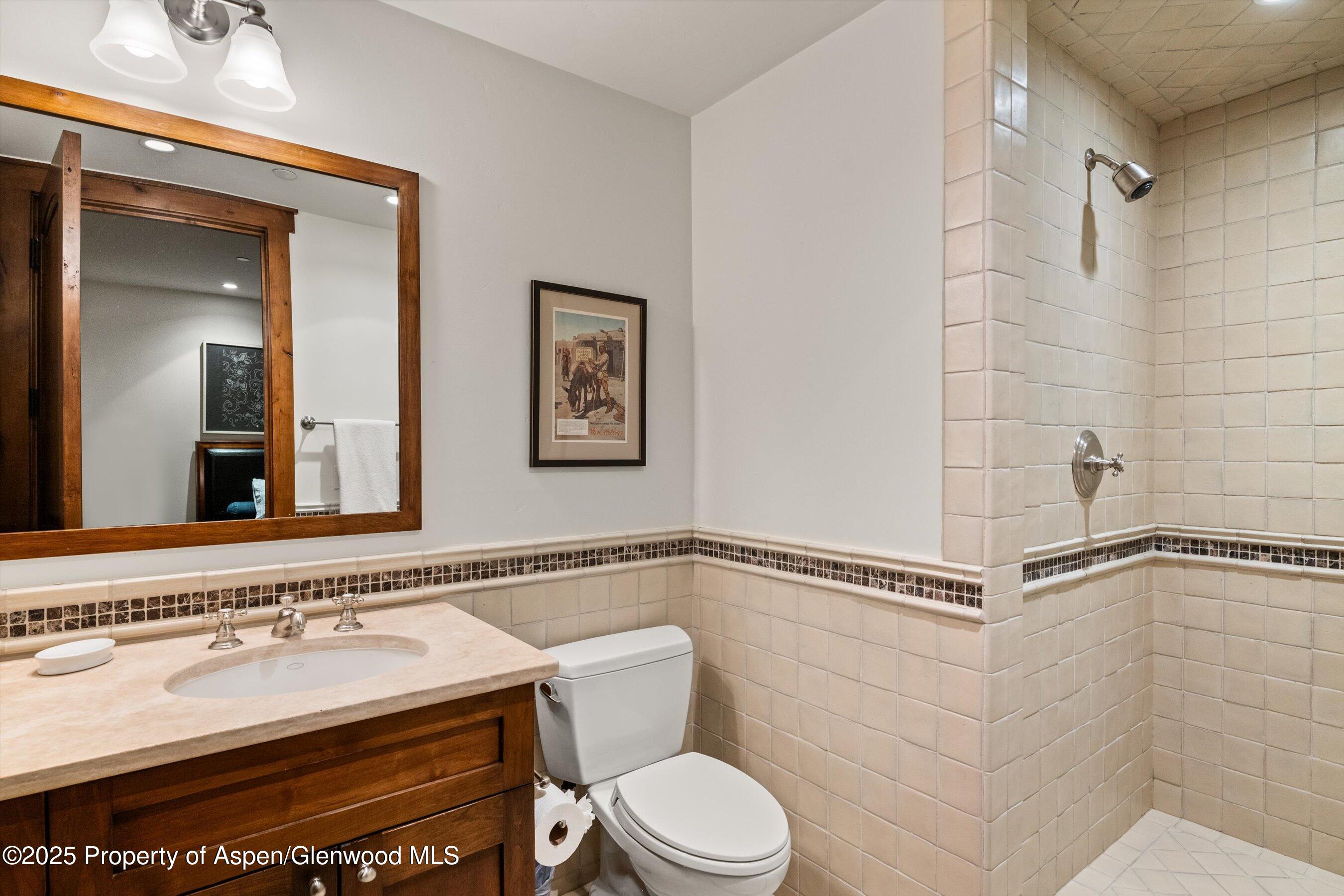 1430 Sierra Vista Drive Aspen, CO 81611 - Photo 27 of 57 a bathroom with a sink a toilet and shower