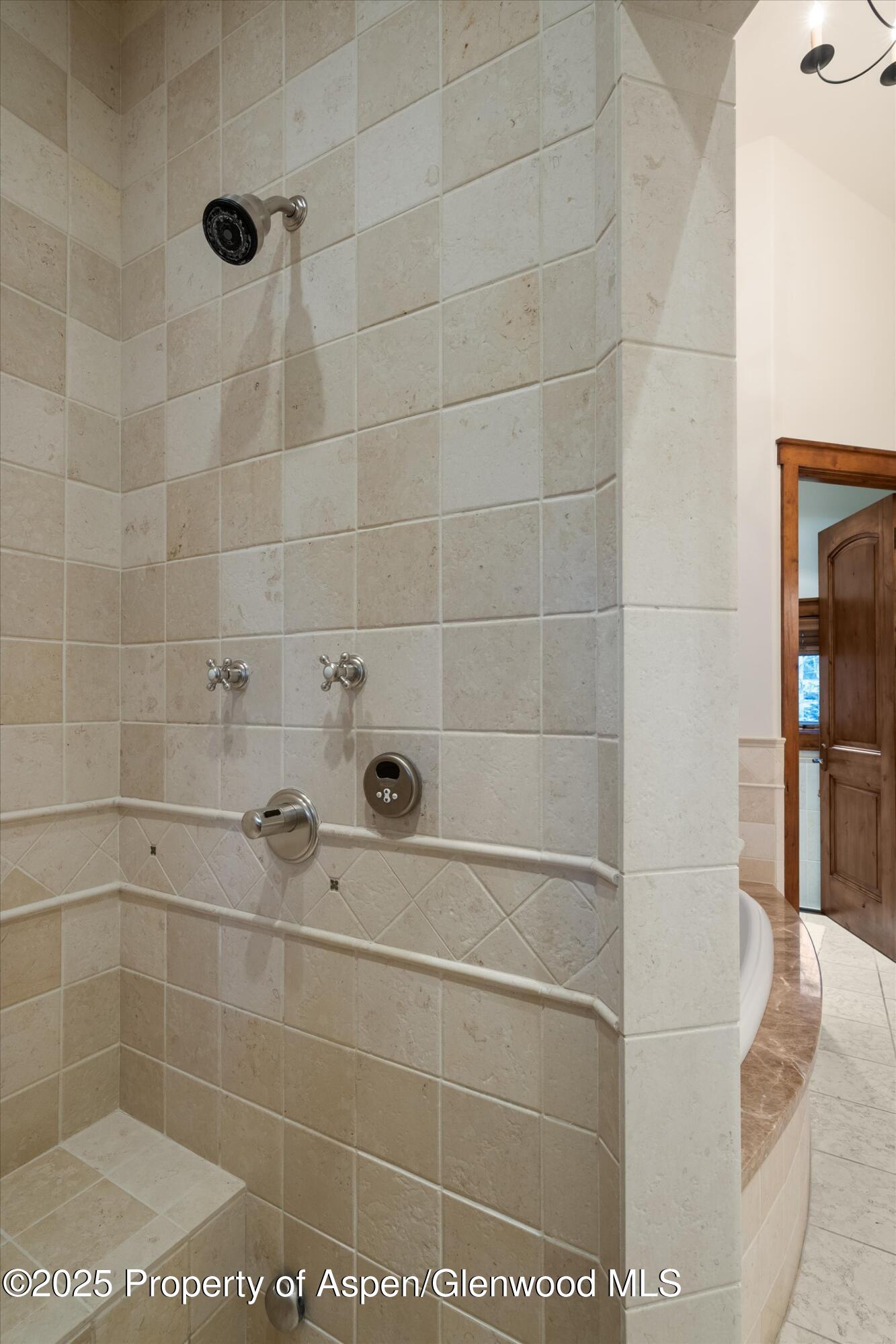 1430 Sierra Vista Drive Aspen, CO 81611 - Photo 30 of 57 a bathroom with a shower