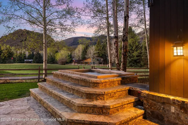 a view of a yard with an tree