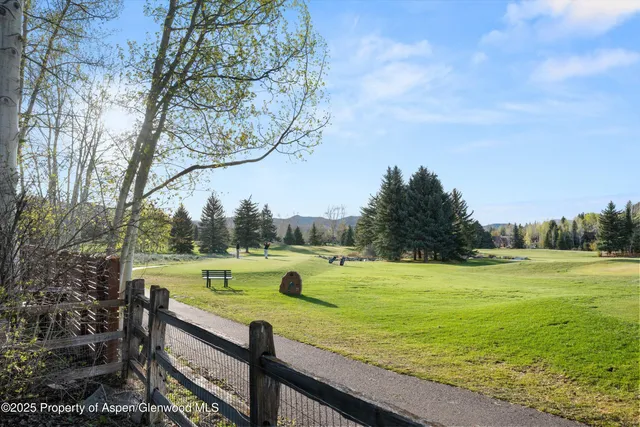 a view of a park and trees in the background