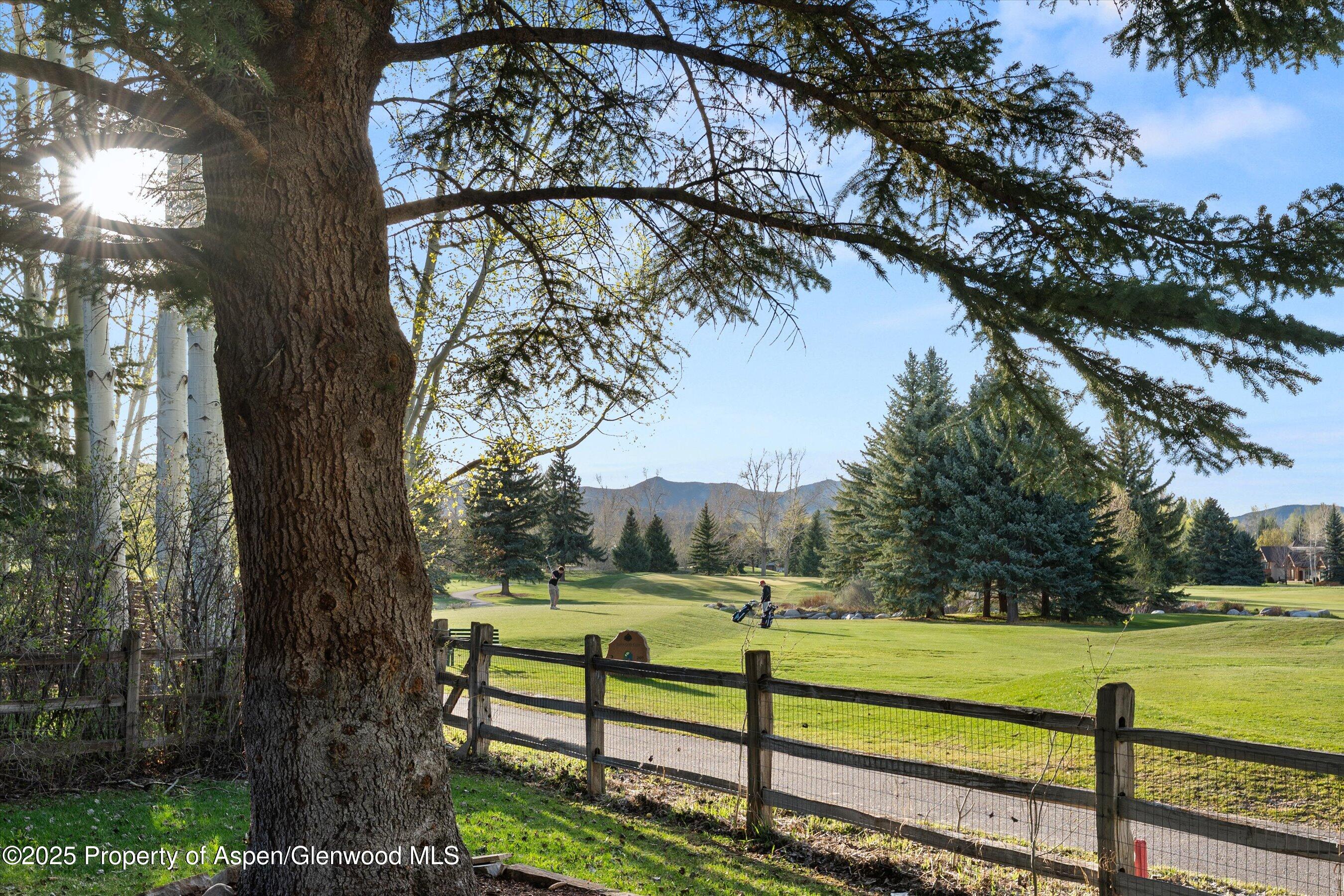 1430 Sierra Vista Drive Aspen, CO 81611 - Photo 54 of 57 a view of a yard with an tree