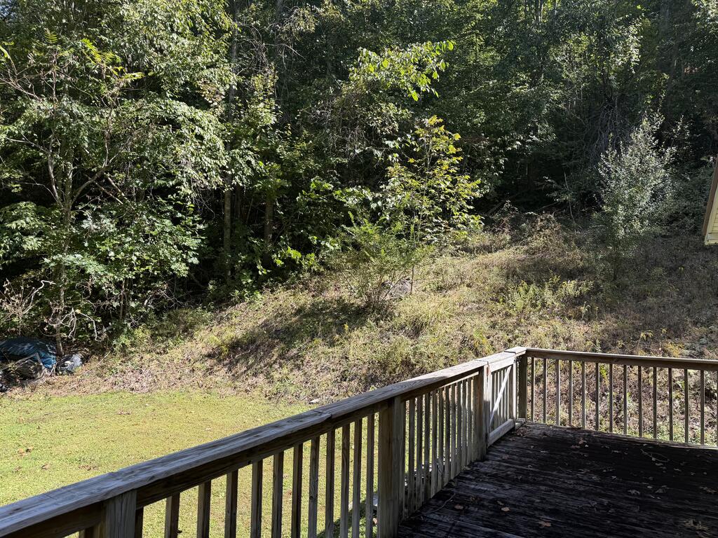 369 Trace Fork Road Chapmanville, WV 25508 - Photo 39 of 41 Gallery Image 39
