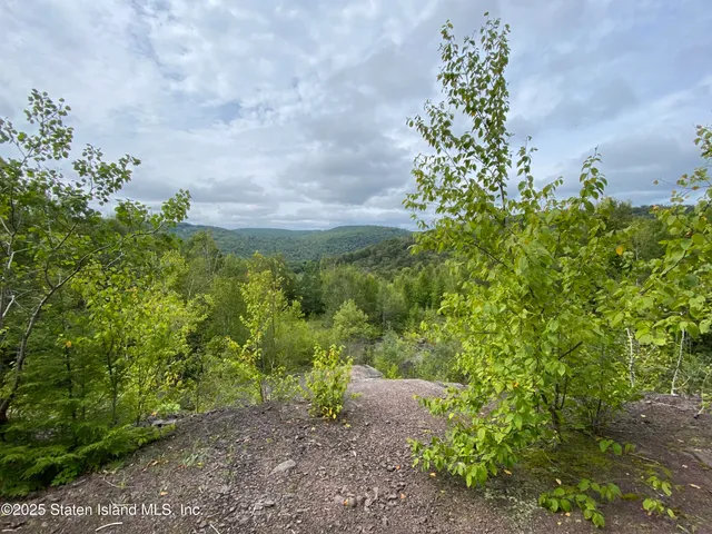 a view of a garden with plants and large trees