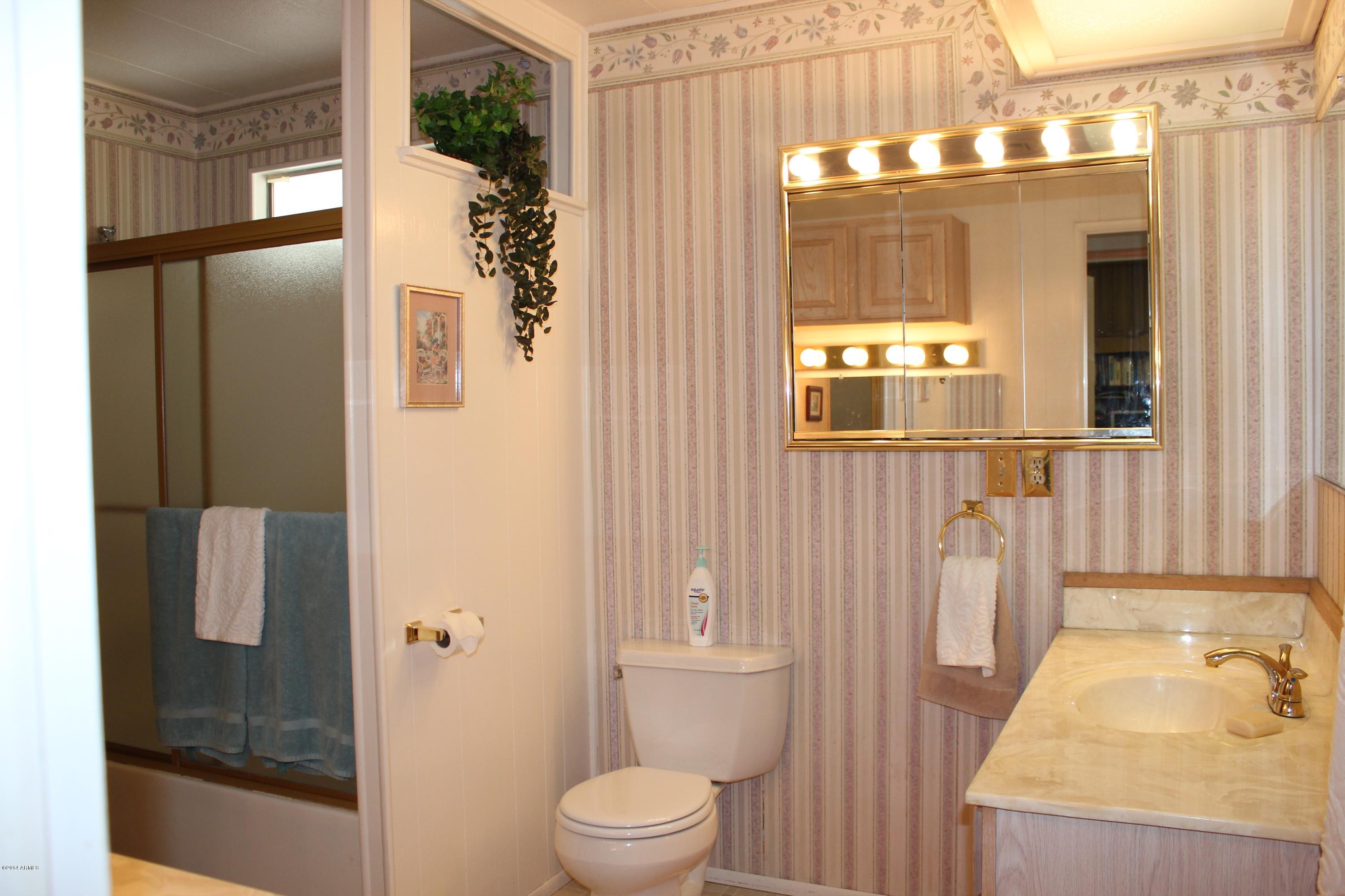 6539 West Hatcher Road Glendale, AZ 85302 - Photo 16 of 33 Master Bath