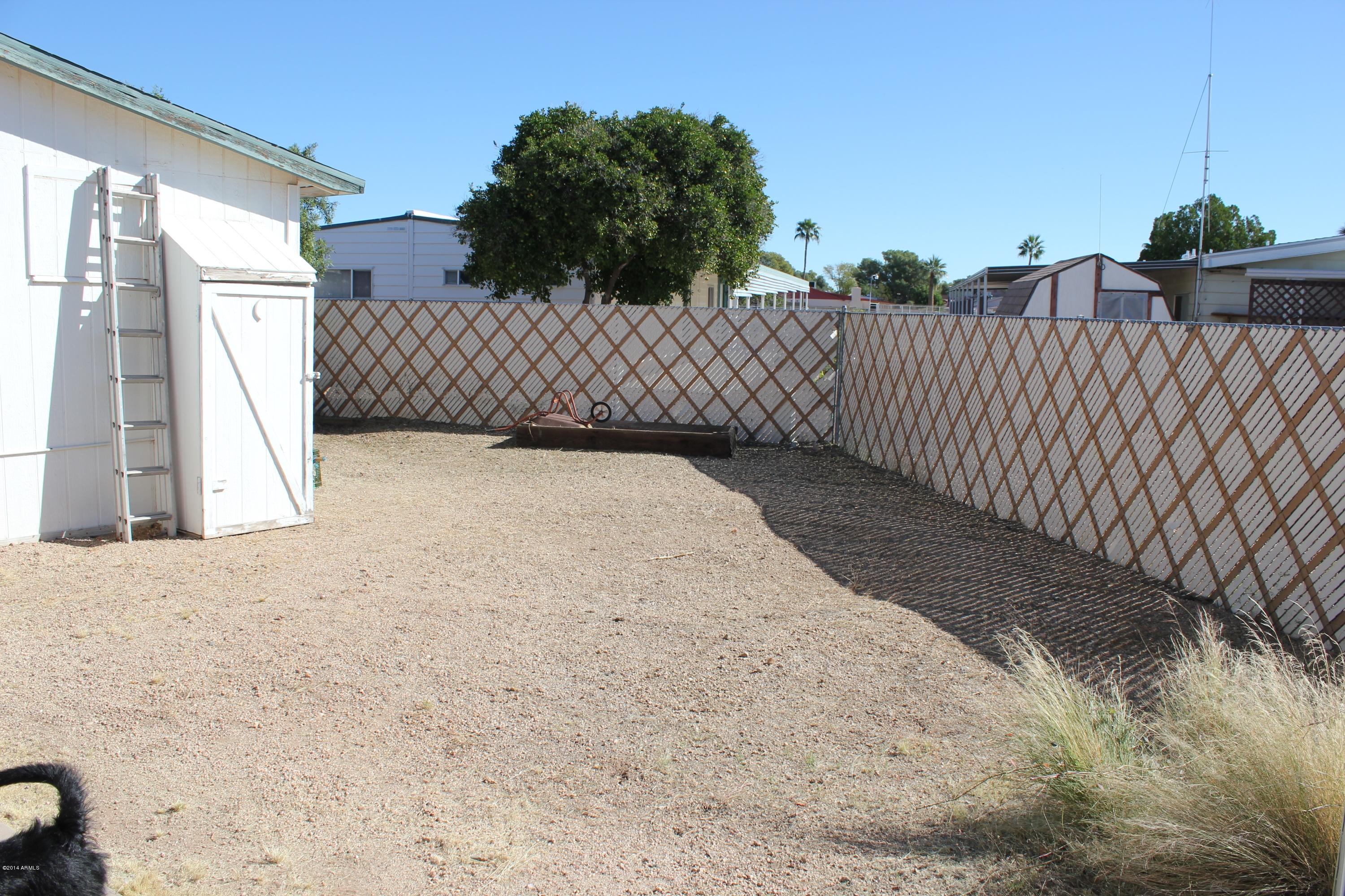 6539 West Hatcher Road Glendale, AZ 85302 - Photo 29 of 33 Backyard with lots of room