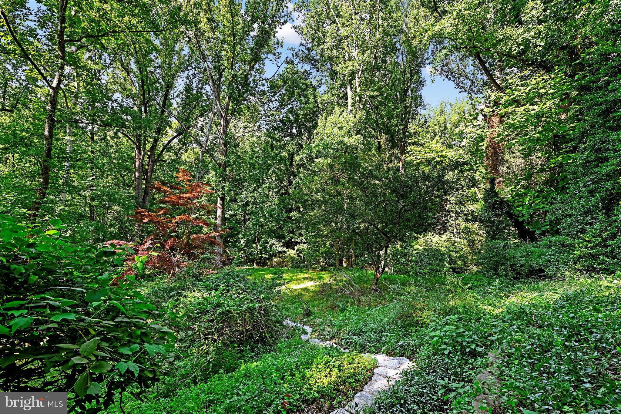 915 Rolandvue Road Towson, MD 21204 - Photo 28 of 28 Lush Views