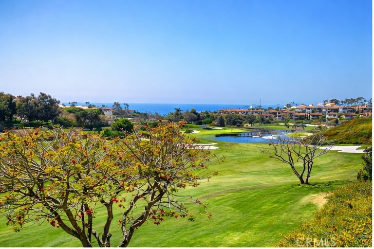 27 Via Monarca Street Dana Point, CA 92629 - Photo 54 of 62