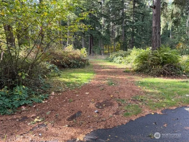 a view of backyard with green space