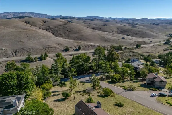 an aerial view of a forest
