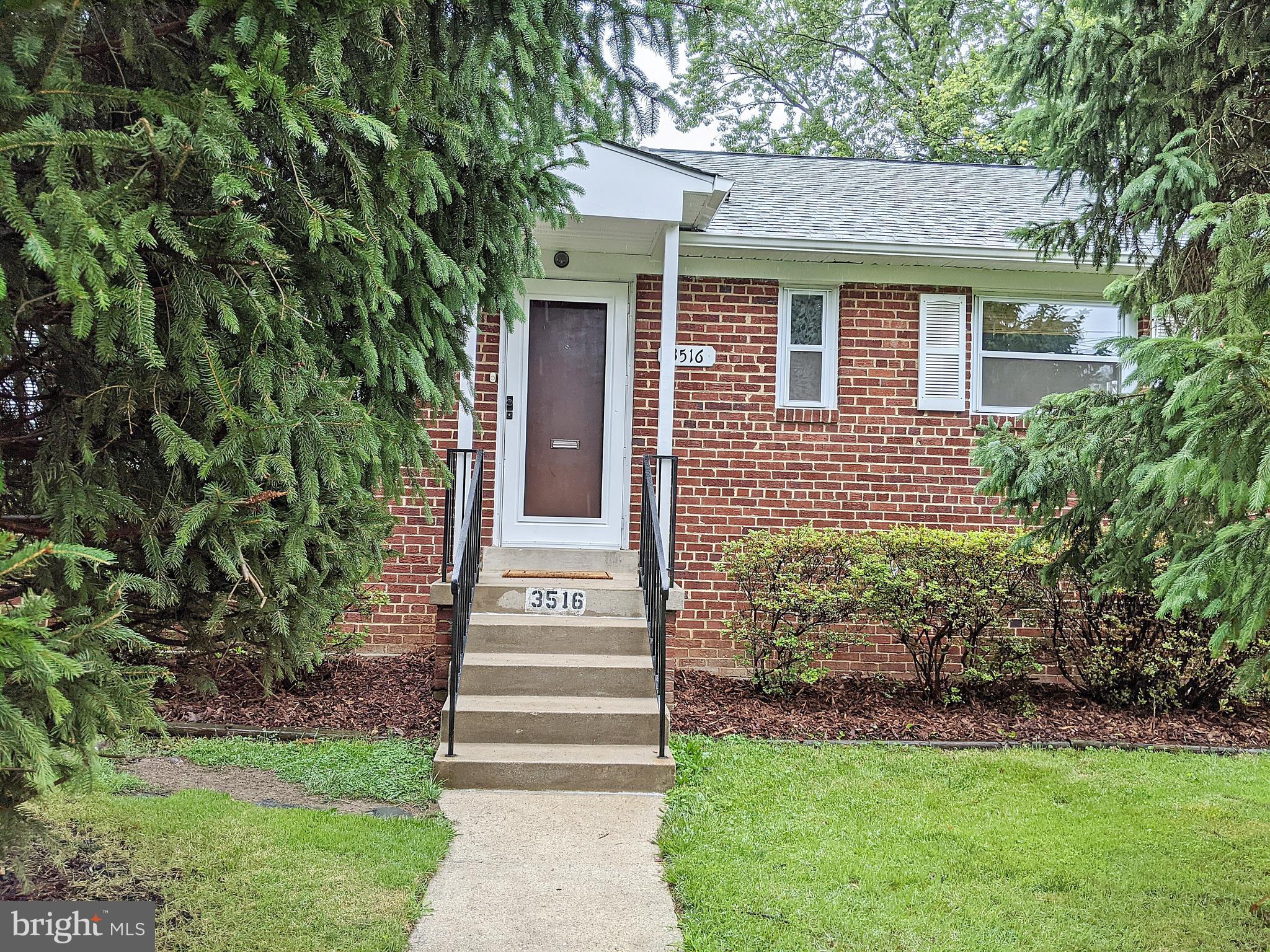 3516 Everton Street Silver Spring, MD 20906 - Photo 2 of 72 Private Shade trees lead to front door