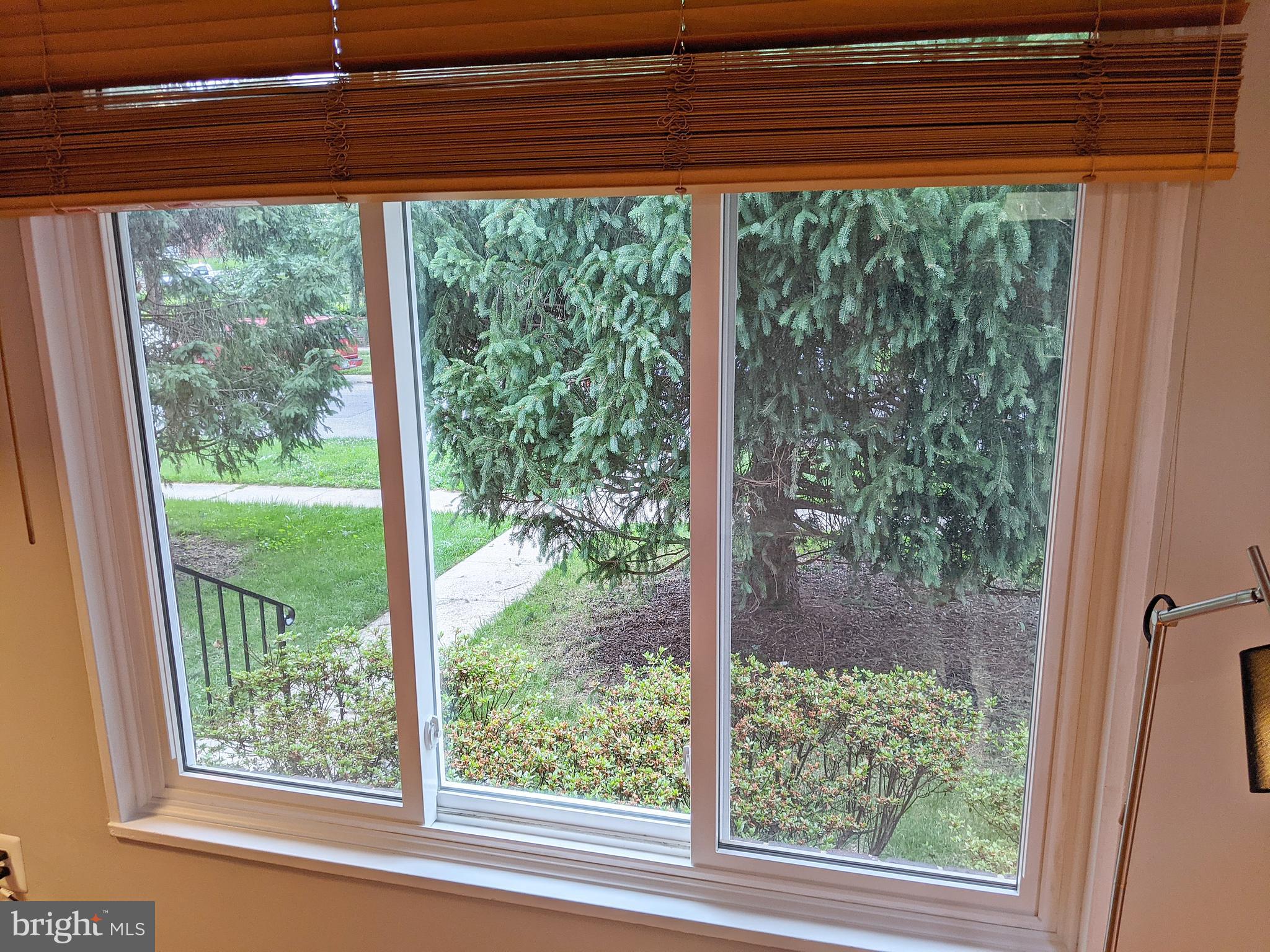 3516 Everton Street Silver Spring, MD 20906 - Photo 7 of 72 Living Room Large Windoq