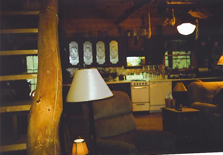 2251 Duck Lake Road Allen, MI 49227 - Photo 10 of 23 Additional Photo