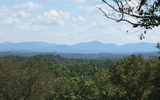 a view of a city with mountain