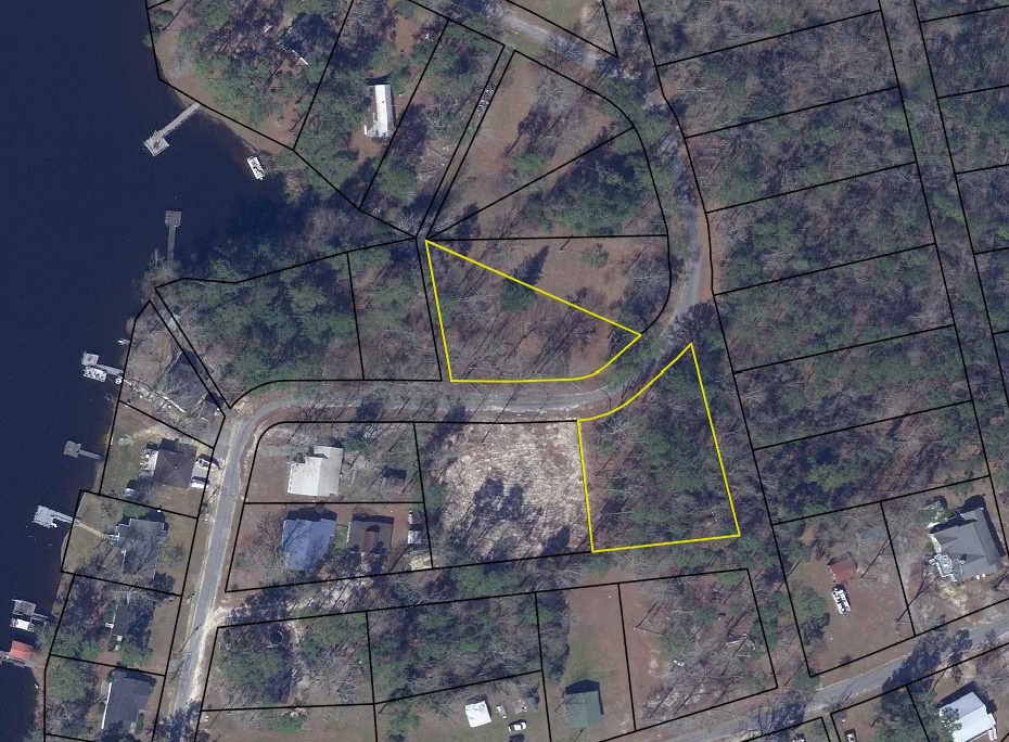 0 Delano Street Manning, SC 29102 - Photo 3 of 5