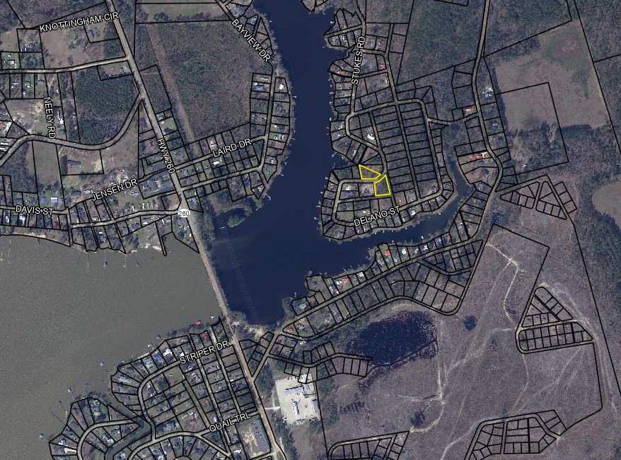 0 Delano Street Manning, SC 29102 - Photo 4 of 5