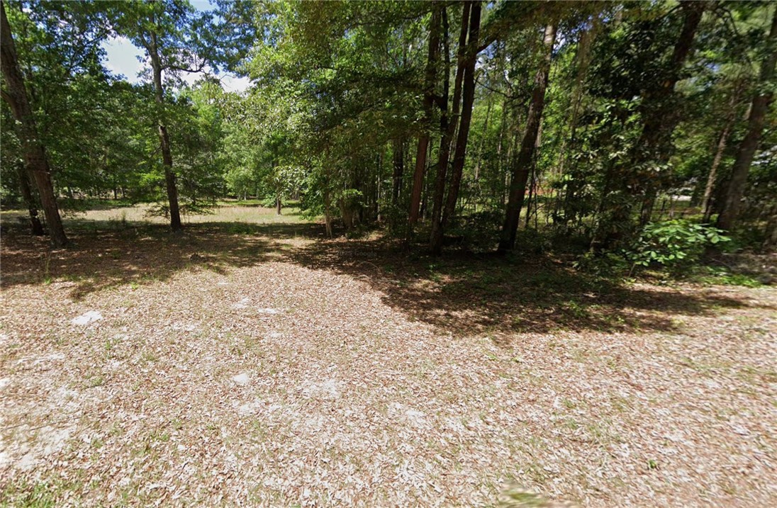 0 Delano Street Manning, SC 29102 - Photo 5 of 5