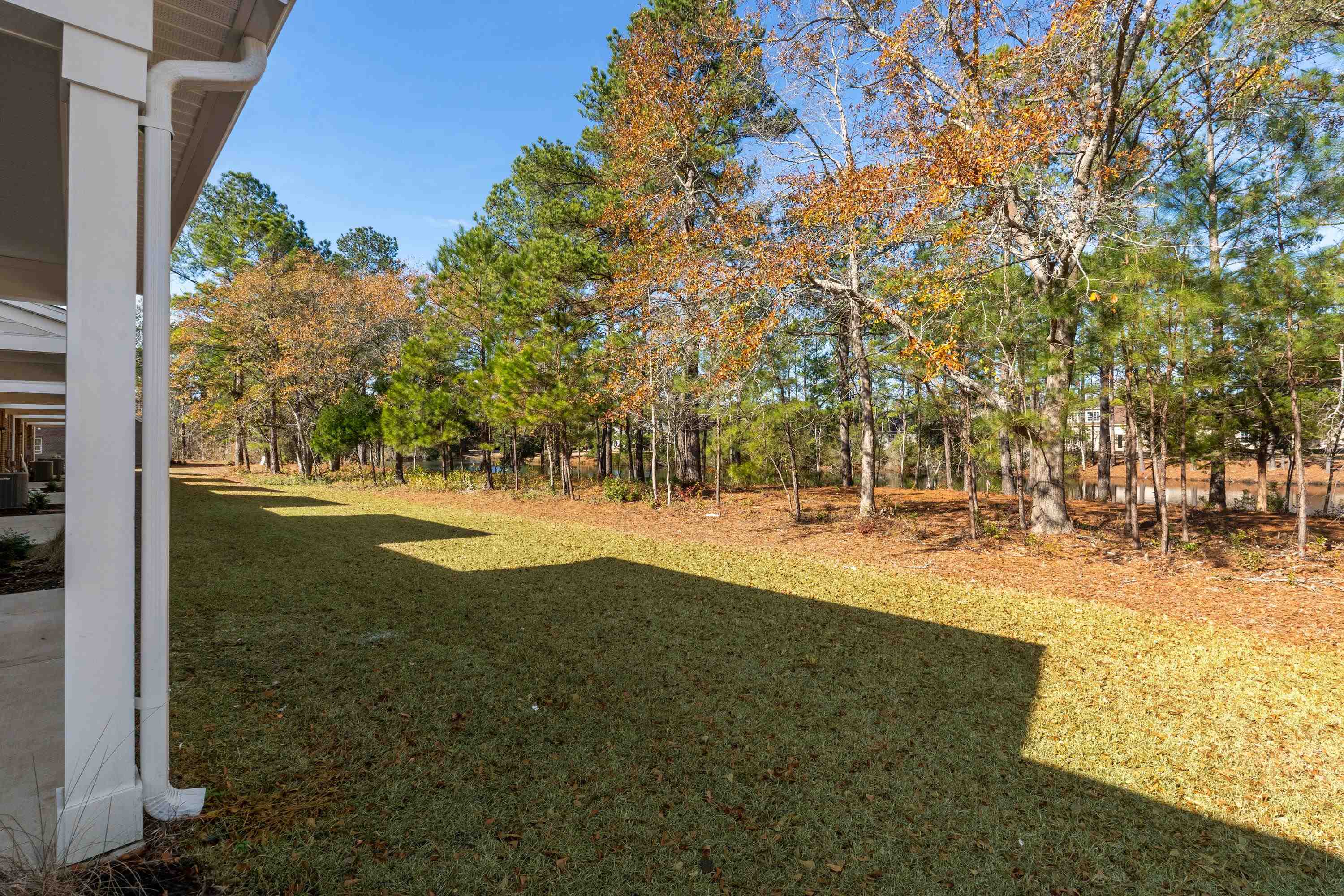 866 Foxtail Drive, Unit C34 Longs, SC 29568 - Photo 7 of 40