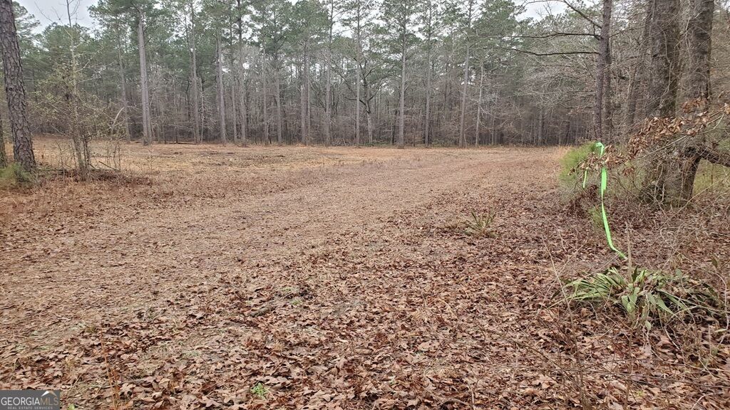 0 Mark Wood Road Dexter, GA 31019 - Photo 3 of 8 Gallery Image 3