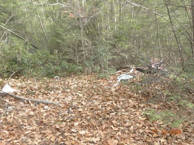 0 Chesterfield Road Hinsdale, NH 03451 - Photo 7 of 9