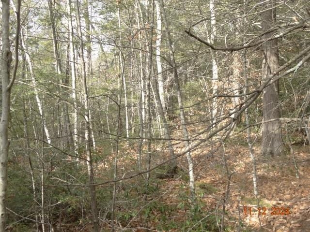 0 Chesterfield Road Hinsdale, NH 03451 - Photo 8 of 9