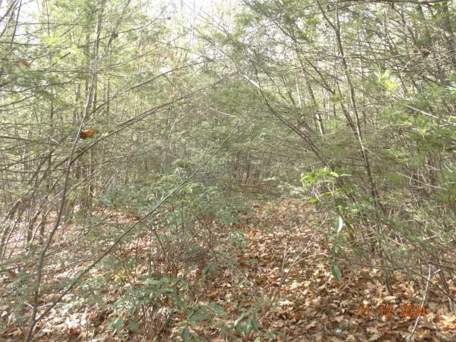 0 Chesterfield Road Hinsdale, NH 03451 - Photo 9 of 9