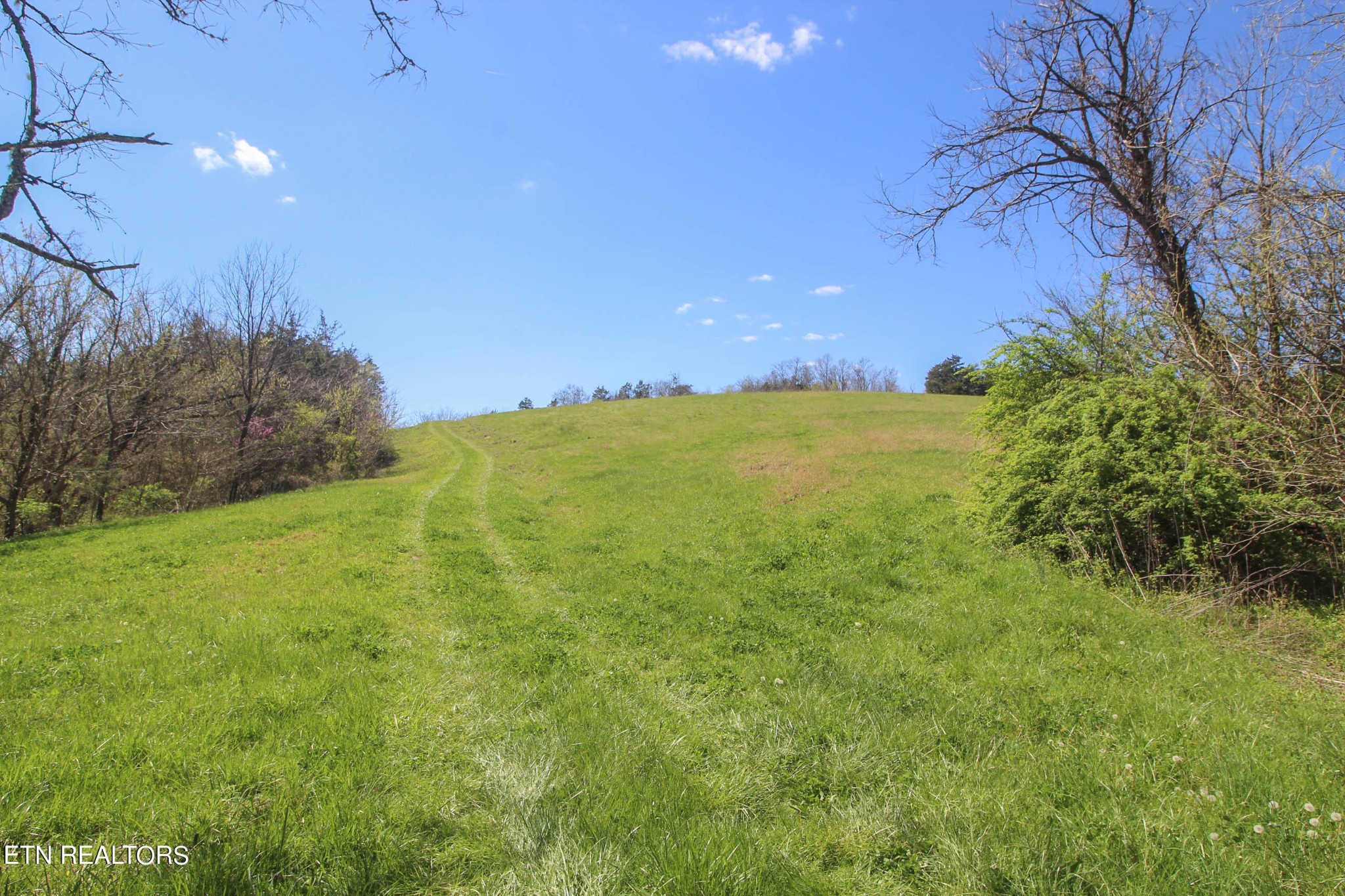 0 Fall Creek Road Maynardville, TN 37807 - Photo 15 of 21 Gallery Image 15