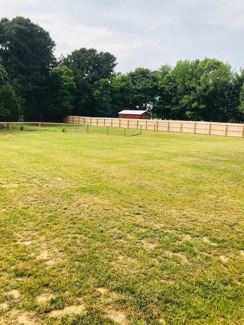 123 Blackey Bandy Road Bethpage, TN 37022 - Photo 4 of 14 Gallery Image 4