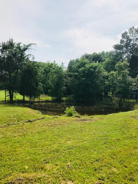 123 Blackey Bandy Road Bethpage, TN 37022 - Photo 5 of 14 Gallery Image 5